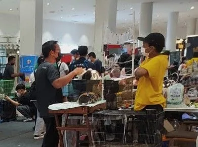 Ada Kebun Binatang Dalam Mall