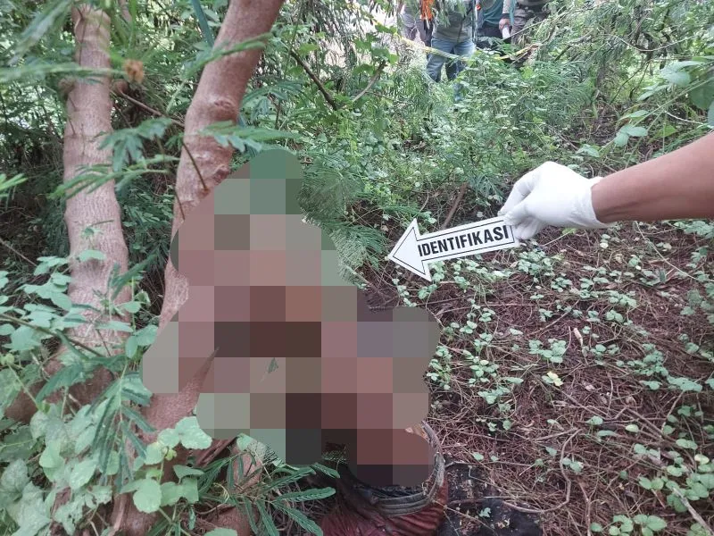 Dilaporkan Hilang Sebulan Lalu, Pelajar SMP Ditemukan  Sudah Tewas Menggantung  di Pohon