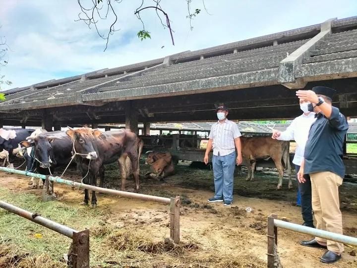 Surabaya Raya, Darurat Penyakit Mulut dan Kuku