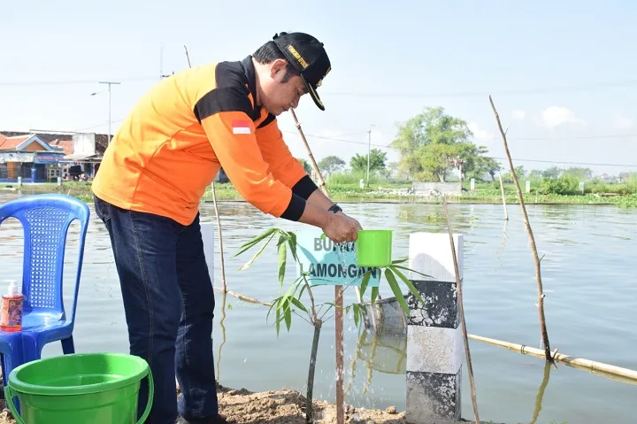 Antisipasi Bencana, Pemkab Lamongan Tanam 2.700 Bambu