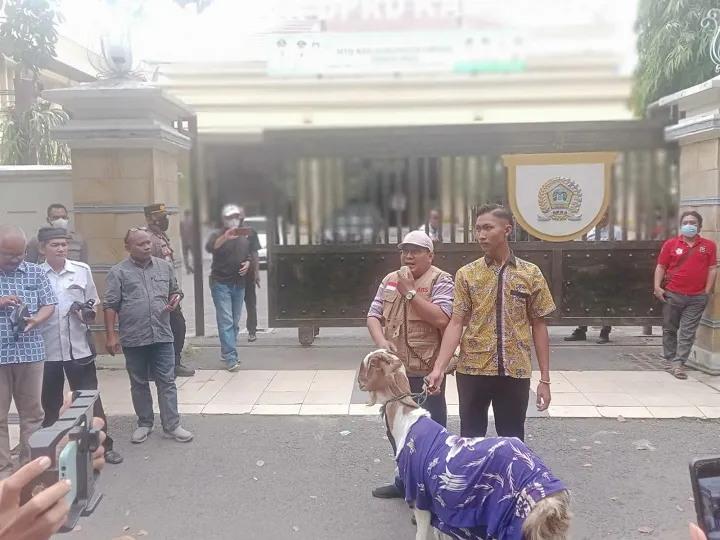 Terlibat Pernikahan Manusia dan Kambing, Dua Politisi Nasdem Dipolisikan