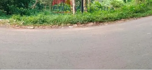 Dianggarkan Rp 1,75 M untuk Jalan Sekarmojo Purwosari