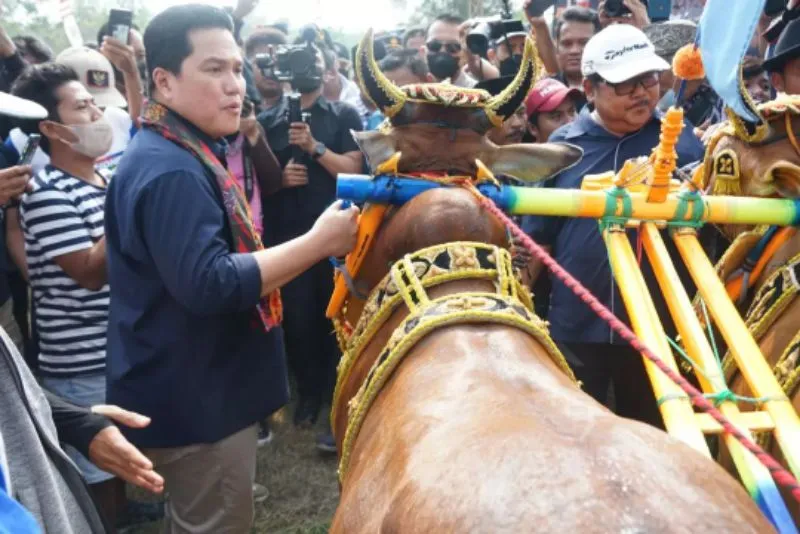 Ke Bangkalan, Erick Tohir Bertemu Paguyuban Kerapan Sapi Madura