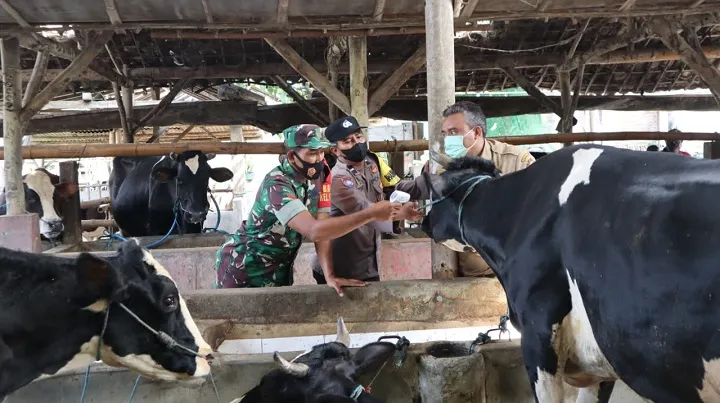 Polres Blitar Kota Bersama Dinas Peternakan Sidak di Pasar Hewan Dinoyo