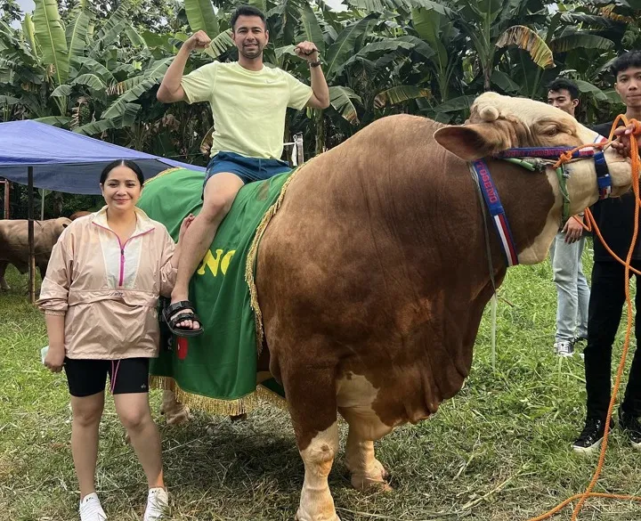 Urusan Sapi Korban, Artis tak Mau Kalah
