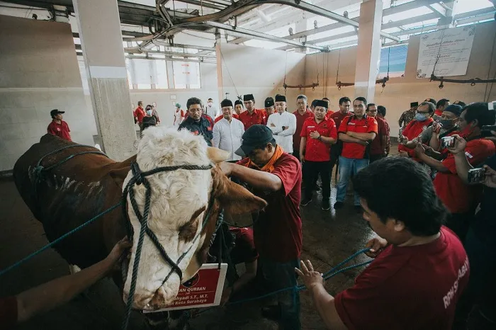 Potong 11 Sapi Kurban, PDIP Surabaya: Idul Adha Momen Perkuat Spiritual dan Semangat Berkurban