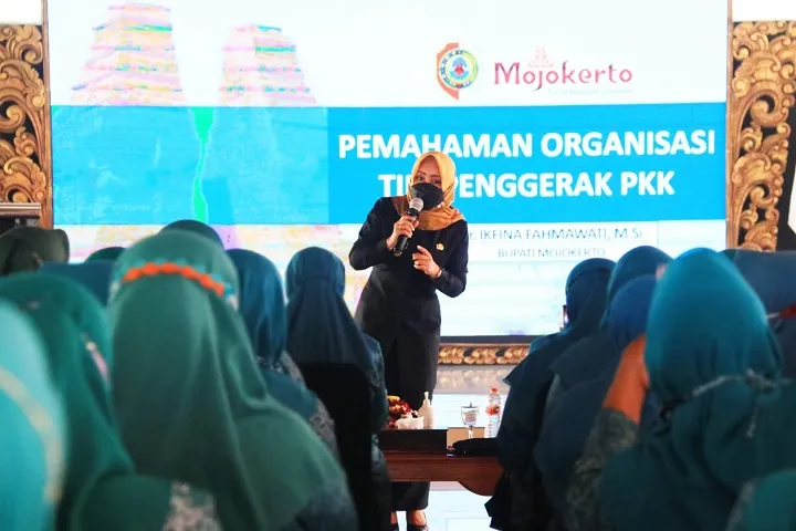 Gelar Peningkatan Kapasitas TP PKK, Ikfina Minta TP PKK Dapat Bekerja Secara Profesional