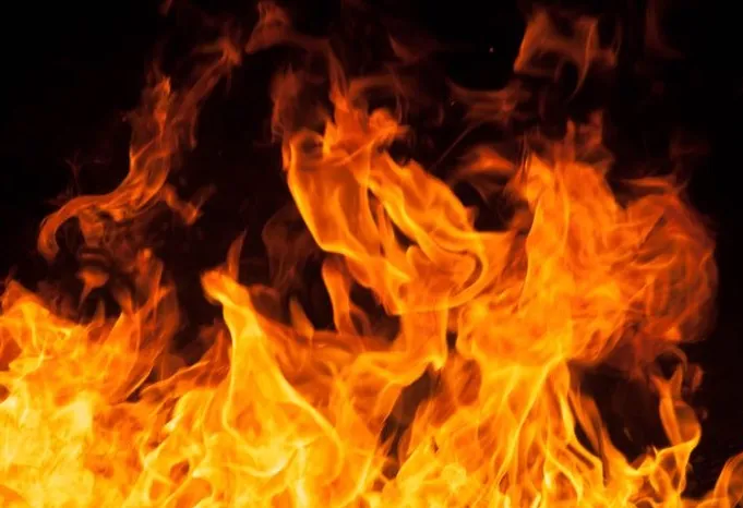 Bakar Sampah Berujung Kebakaran Kandang Ternak dan Rumah di Tuban