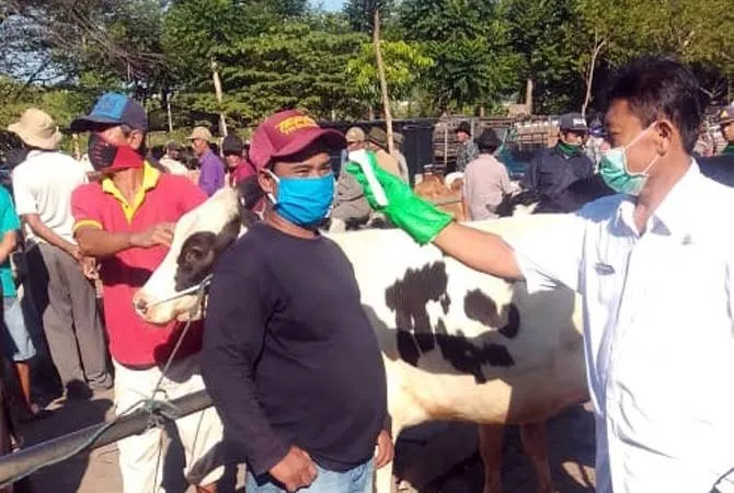 Pasar Hewan di Kabupaten Pasuruan Boleh Buka