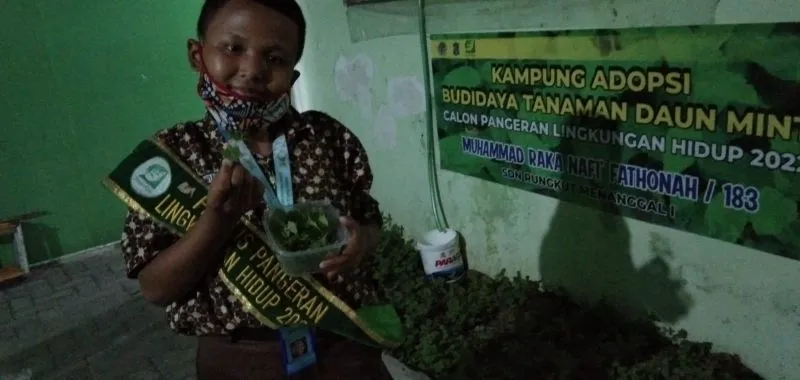 Raka, Bocah 10 Tahun Mampu Membudidayakan Tanaman Mint untuk Kesehatan