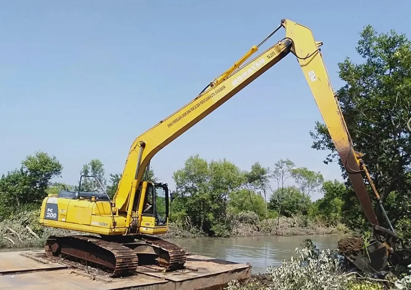 Baca juga : Tanaman Mangrove Rusak, Wakil Wali Kota Surabaya Minta Proses Normalisasi Sungai Dihentikan