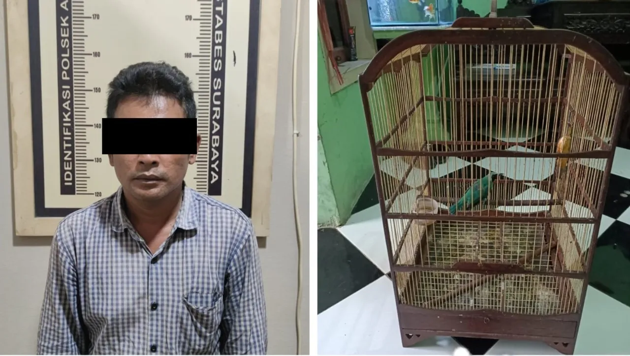 Curi Burung Cucak Ijo, Polsek Asemrowo Tangkap Warga Sampang