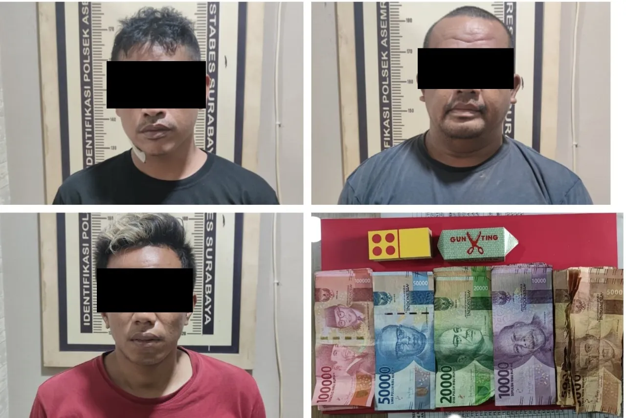 Main Judi Domino, Tiga Supir Truk Diangkut Polisi