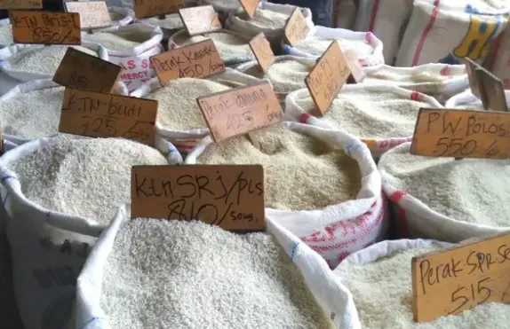 BPS Ramal Produksi Beras Tembus 32,07 Ton Tahun Ini