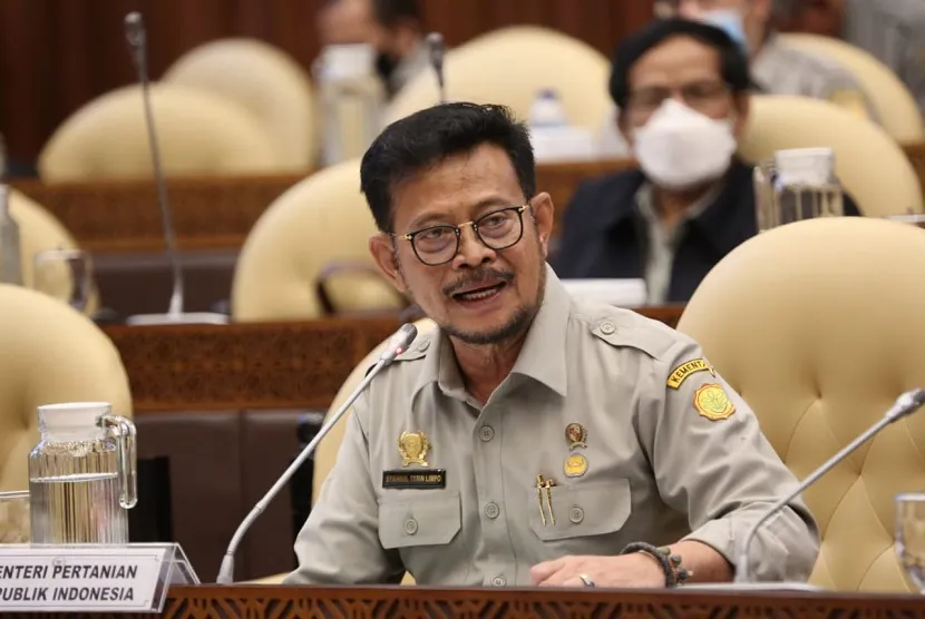 Menteri Pertanian Sebut Stok Beras RI Masih 10 Juta Ton