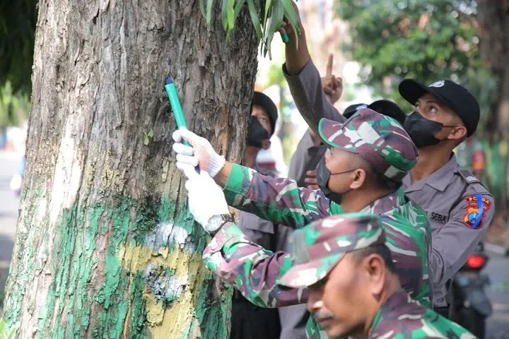 Peringati Hari Pohon Sedunia, DLHP Ajak Pelajar Cabut Paku di Pohon