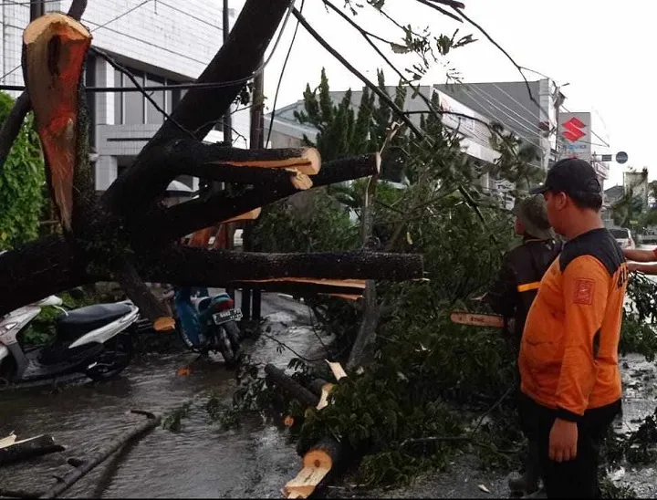 Angin Kencang Robohkan Tenda UMKM Alun-Alun Jember