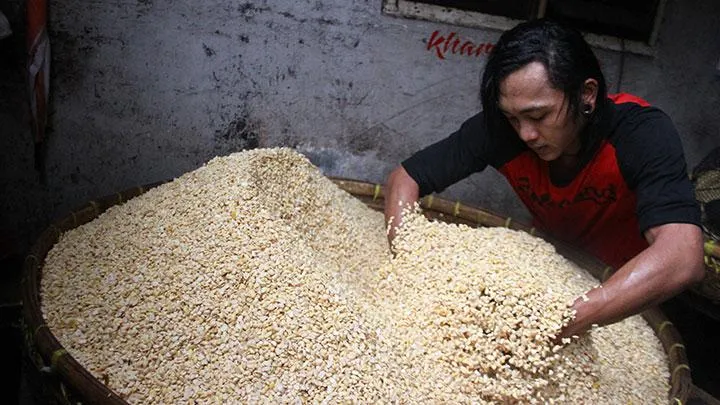 Zulhas Tugaskan Bulog Impor 350.000 Ton Kedelai