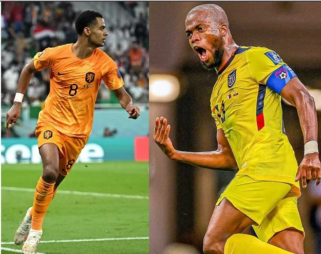 Belanda Diprediksi Menang Tipis, Ngevoor Ekuador 3/4 Bola