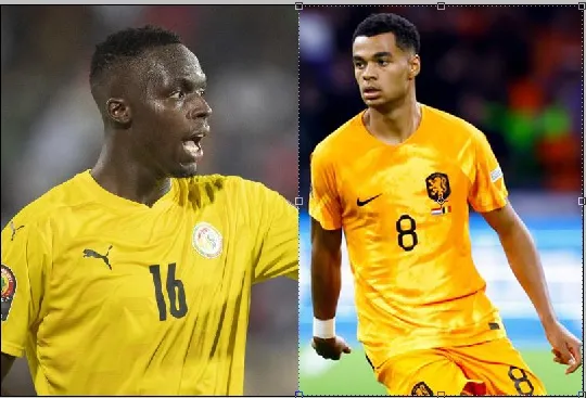 Tanpa Mane, Belanda Bisa Menang Dua Gol
