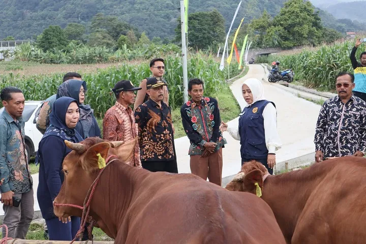 Bupati Mojokerto Serahkan Batuan Lima Ekor Sapi Indukan untuk Poktan Trawas