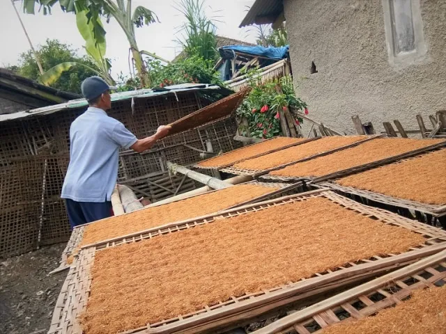 Buruh Tembakau Tolak Intervensi Asing di Kebijakan Tembakau Indonesia