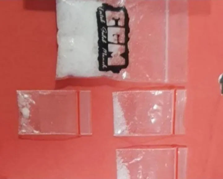 Pengedar Sabu Digerebek Polisi di Rumahnya