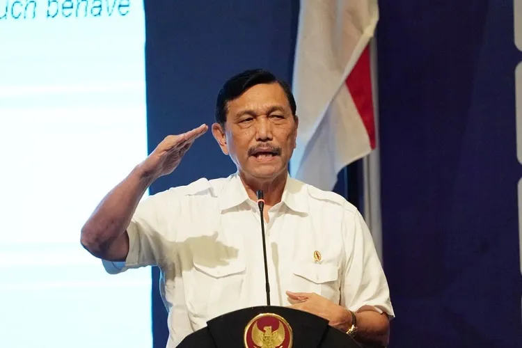 Luhut: Pemerintah Tak Ingin Indonesia Terkenal karena OTT