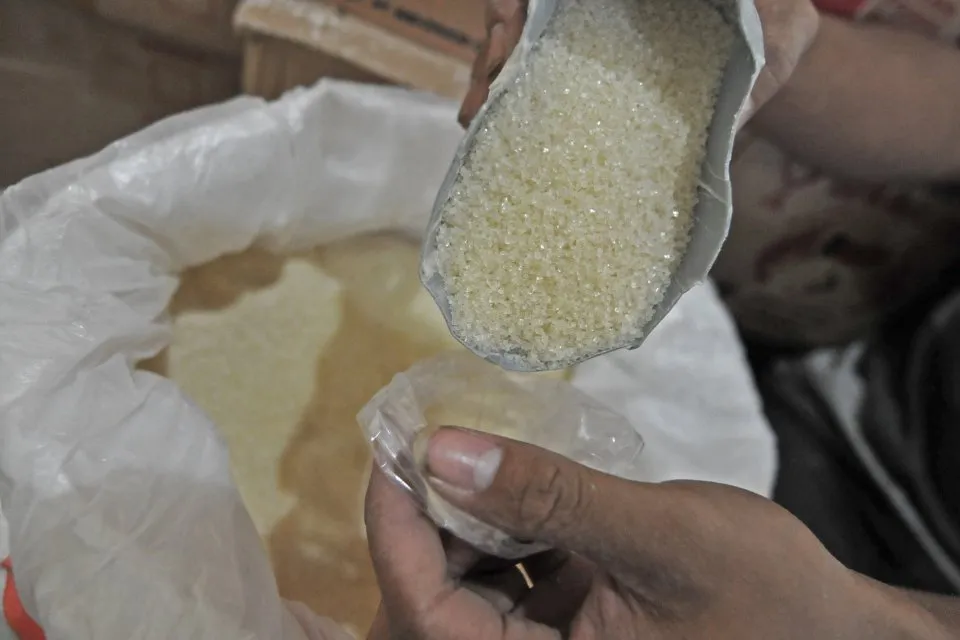 Pemerintah Berencana Impor Gula, Petani Tebu: Produksi Kami Mau Dikemanakan?