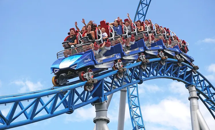 Naik Roller Coaster Bisa Bantu Keluarkan Batu Ginjal