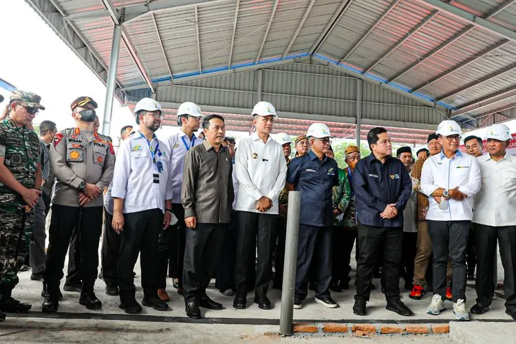 Erick Thohir Ingin Pabrik Minyak Makan Merah Dibangun di Setiap 1.000 Ha Sawit