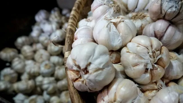 RI Berencana Impor Gula , Bawang Putih, Kedelai, Hingga Daging Kerbau Tahun Ini