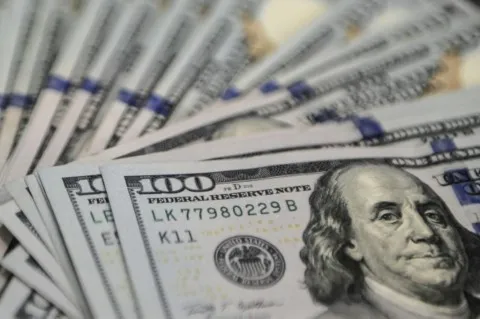 Utang Luar Negeri Indonesia Naik Jadi US$392,6 Miliar Per November 2022