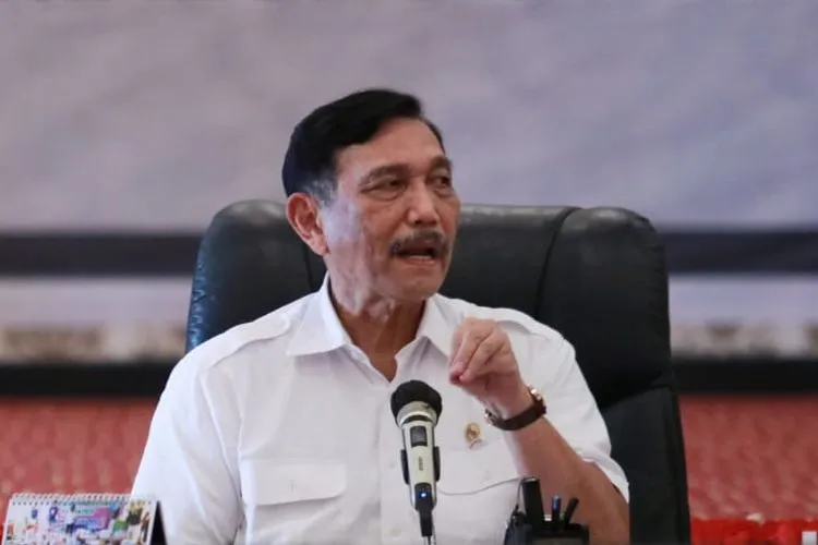 Minyakita Mahal dan Langka, Luhut Turun Tangan