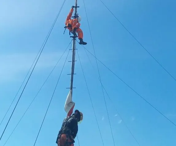 Bikin Heboh, Ular Lilit Tower Pemancar Sinyal di Surabaya