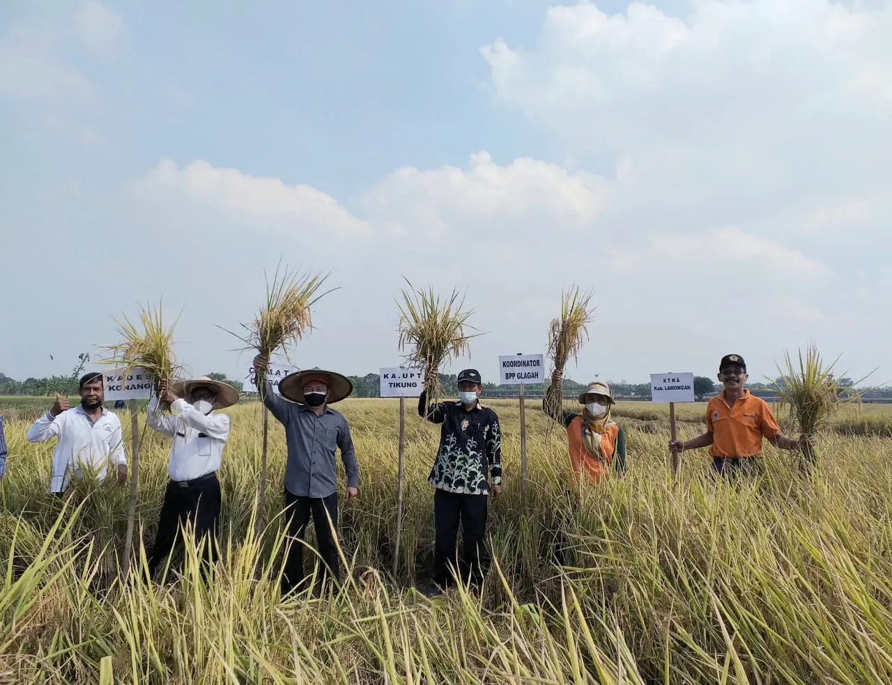 Petani Lamongan Sambut Baik Kenaikan Harga Gabah dan Beras