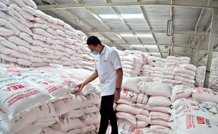 Penebusan Tak Sesuai Jadwal, Pupuk Subsidi di Bangkalan Langka