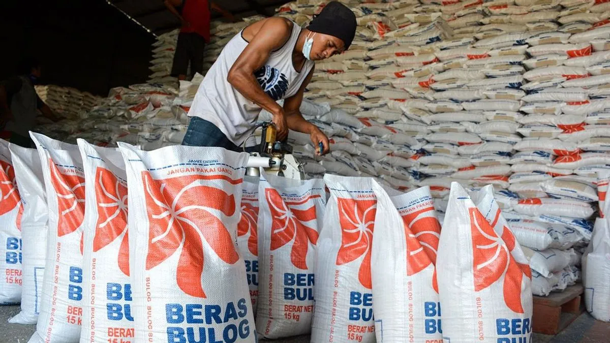Bulog Jatim Fokus Serap Hasil Panen Padi Petani