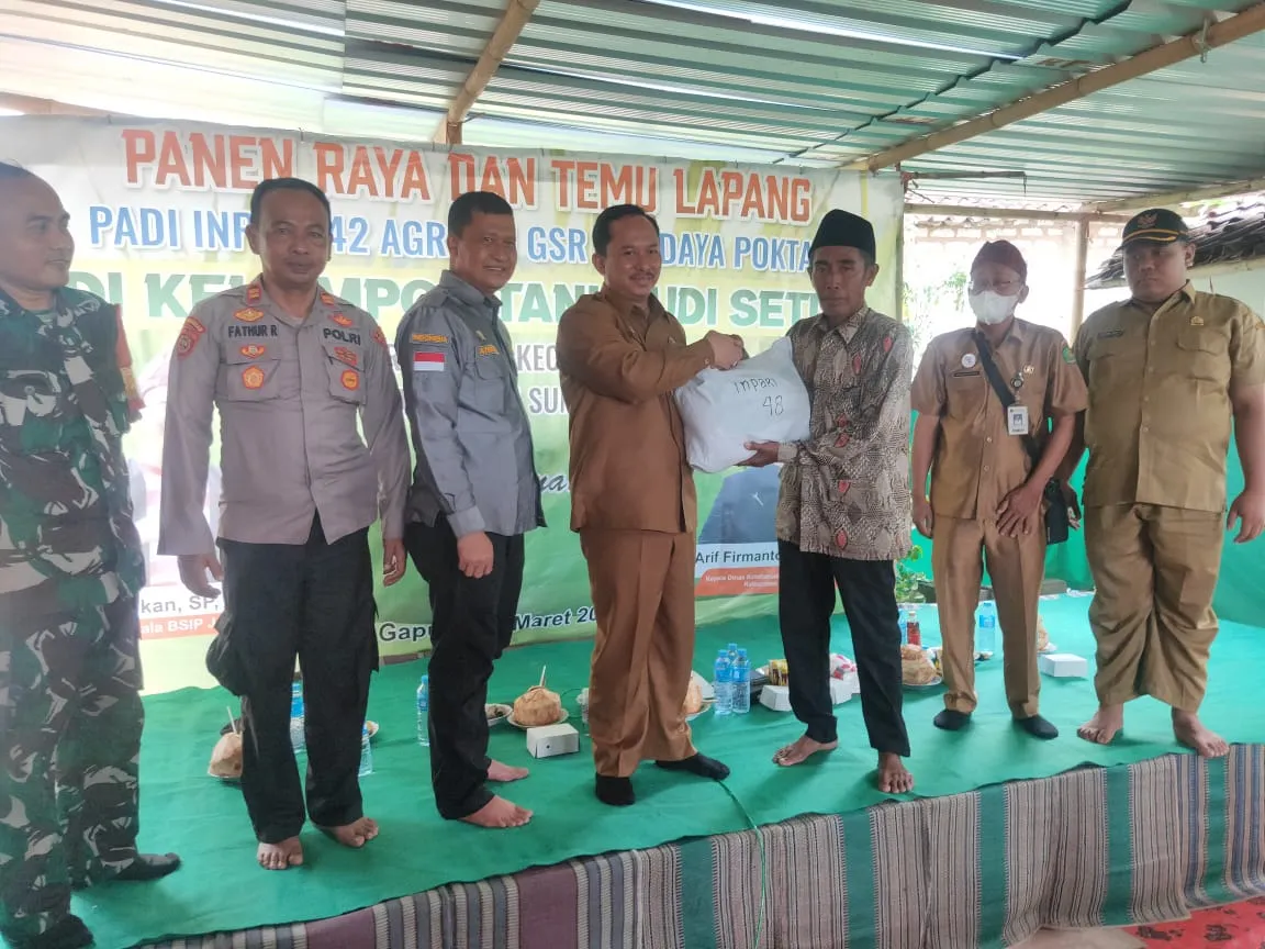BSIP Jatim Hadiri Temu Lapang dan Panen Raya Padi di Kabupeten Sumenep