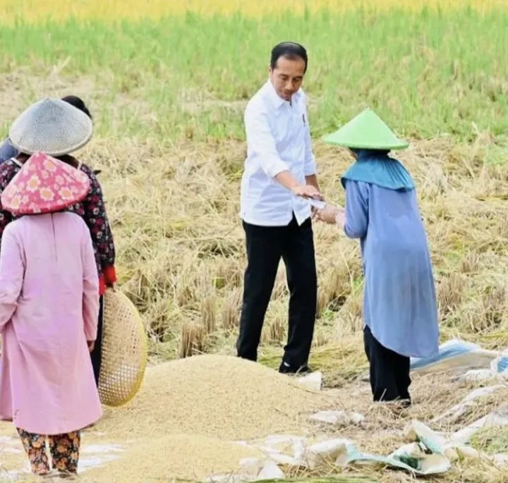 Jokowi Spontan Temui Petani, Puan Bersepatu Sawah dan Bawa Wartawan