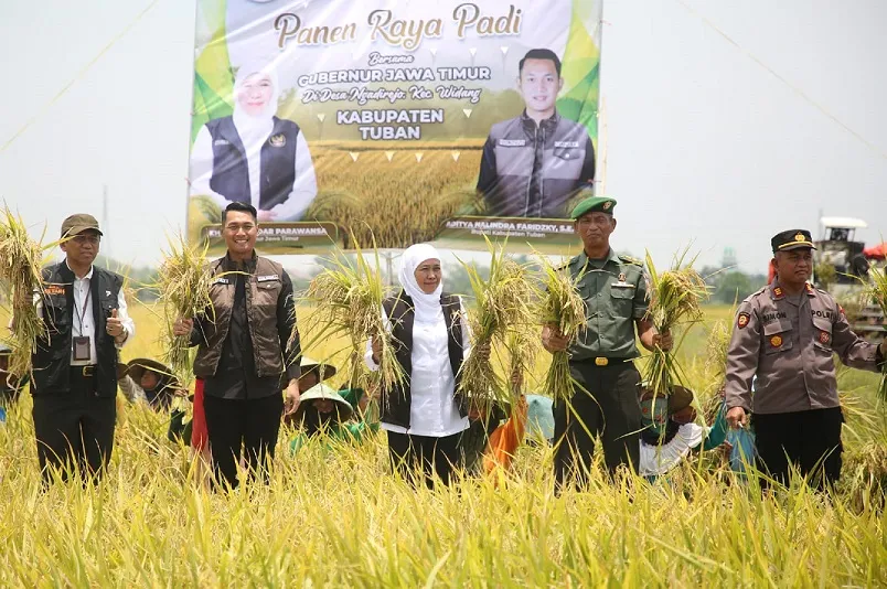 Ikuti Panen Raya, Gubernur Khofifah Tampung Keluhan Petani Tuban