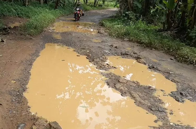 Baca juga : Jalanan Rusak, APBD Lampung Habis Prioritaskan Gaji PNS-DPRD Rp 2,14 Triliun