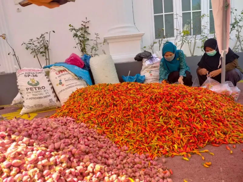 Harga Cabai Rawit di Sumenep Kembali Turun