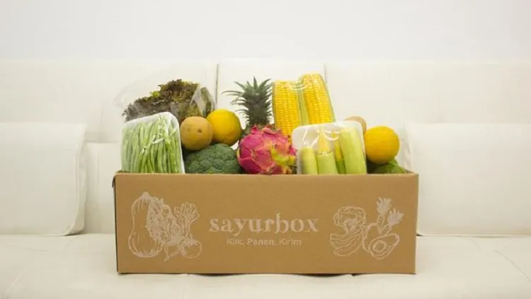 Bos Startup Sayurbox PHK Lagi Karyawan Jelang Lebaran, Begini Penjelasannya