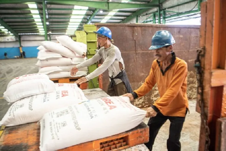 Gara-Gara Data Tak Akurat, Banyak Petani Kehilangan Hak Pupuk Bersubsidi