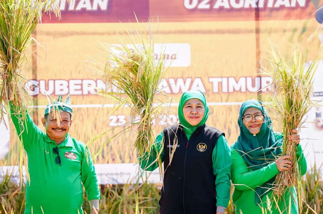 Gubernur Khofifah Optimis Padi Varietas BK Jadi Penguat Produktifitas Padi di Jatim