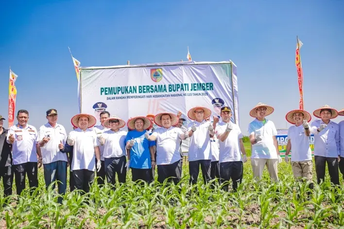Bupati Jember Ajak Petani Beralih ke Pupuk Organik