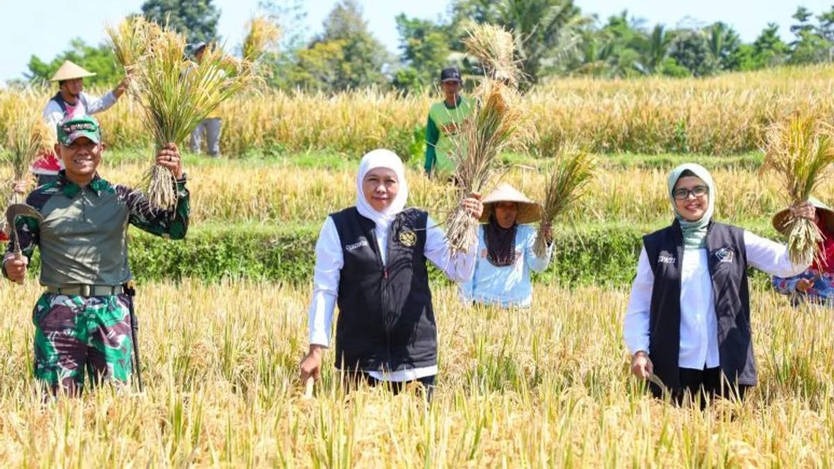 Gubernur Khofifah Dorong Petani Gunakan Pupuk Biosaka