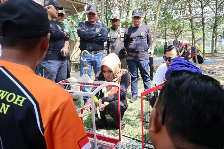 11 Tahun Vakum, Lomba Kicau Burung Piala Bupati Cup Mojokerto Kembali Digelar