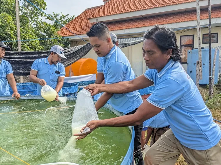 Pemuda Tanggulrejo Diajak Budidaya Bandeng Sistem Kolam Terpal